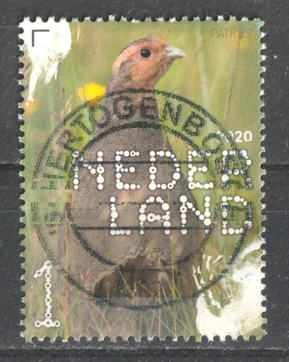 Jan T --285 N beleef de natuur 2020 Patrijs, Verzenden, Na 1940, Gestempeld