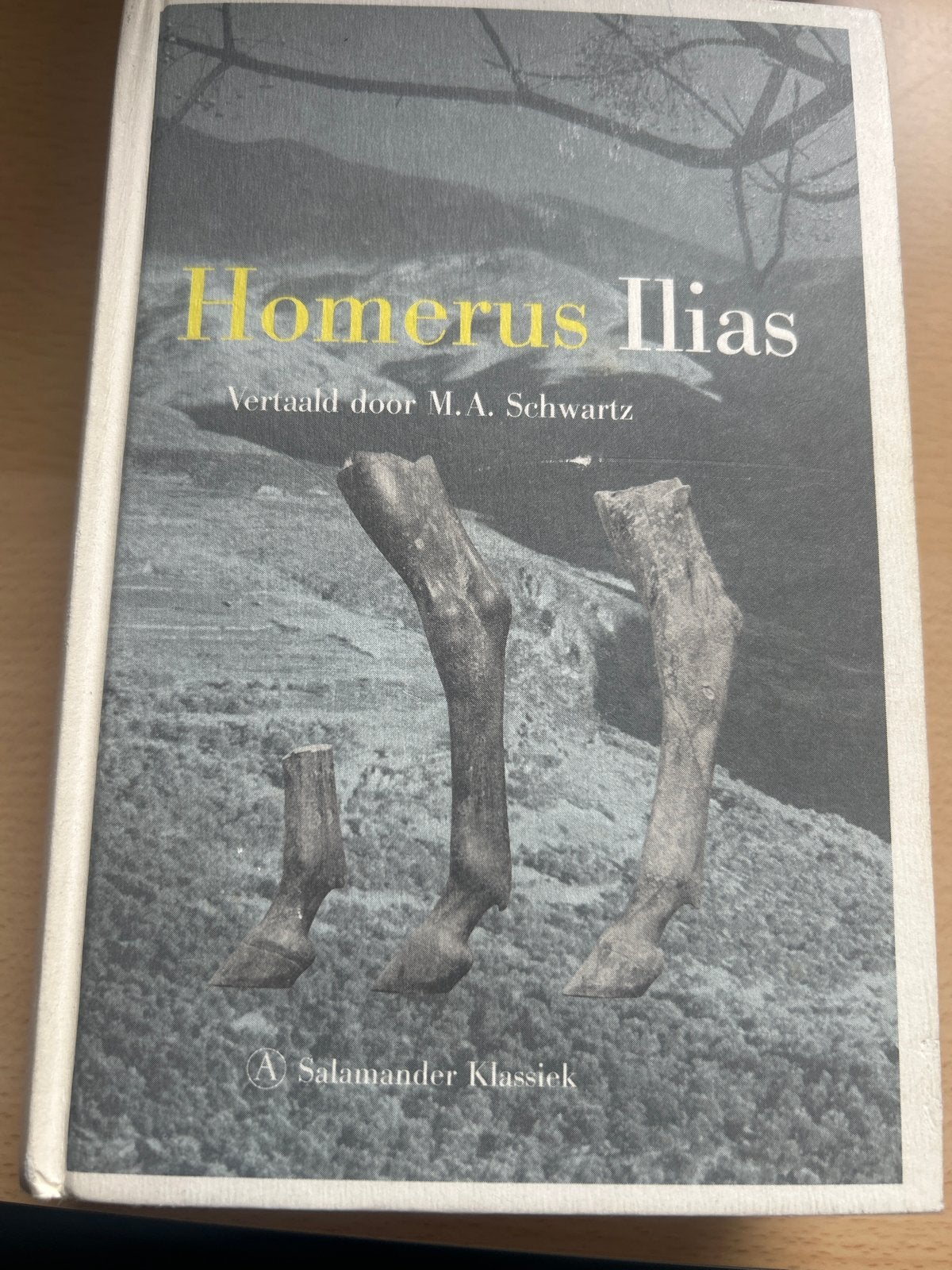 Homerus Ilias - Vertaald door M.A. Schwartz, Boeken, Ophalen of Verzenden, Gelezen, Europa overig