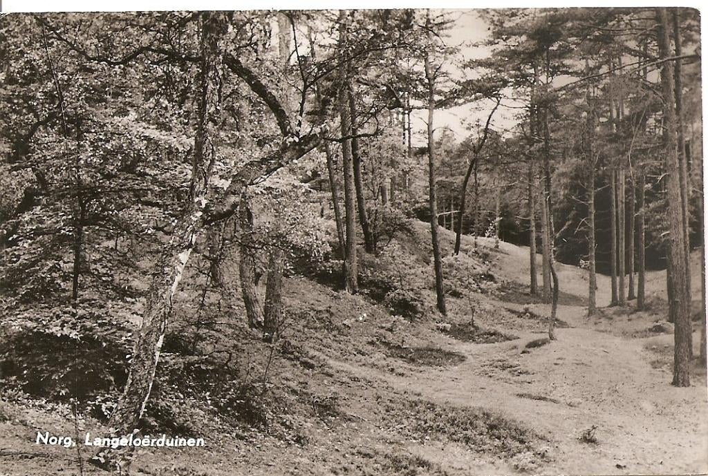 Norg, Langeloërduinen, Verzamelen, Ansichtkaarten | Nederland, Ophalen of Verzenden, 1960 tot 1980, Gelopen, Drenthe