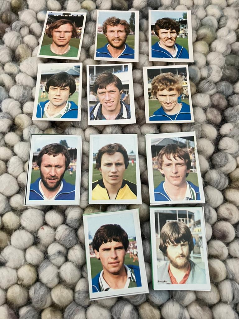 Wageningen panini vanderhout 1980-1981, Verzamelen, Ophalen of Verzenden, Zo goed als nieuw, Overige binnenlandse clubs, Poster, Plaatje of Sticker