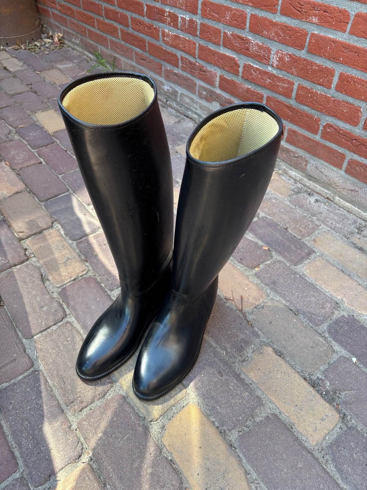 Nieuw! Paard rijlaarzen van Aigle, maat 42, Ophalen, Nieuw, Schoeisel