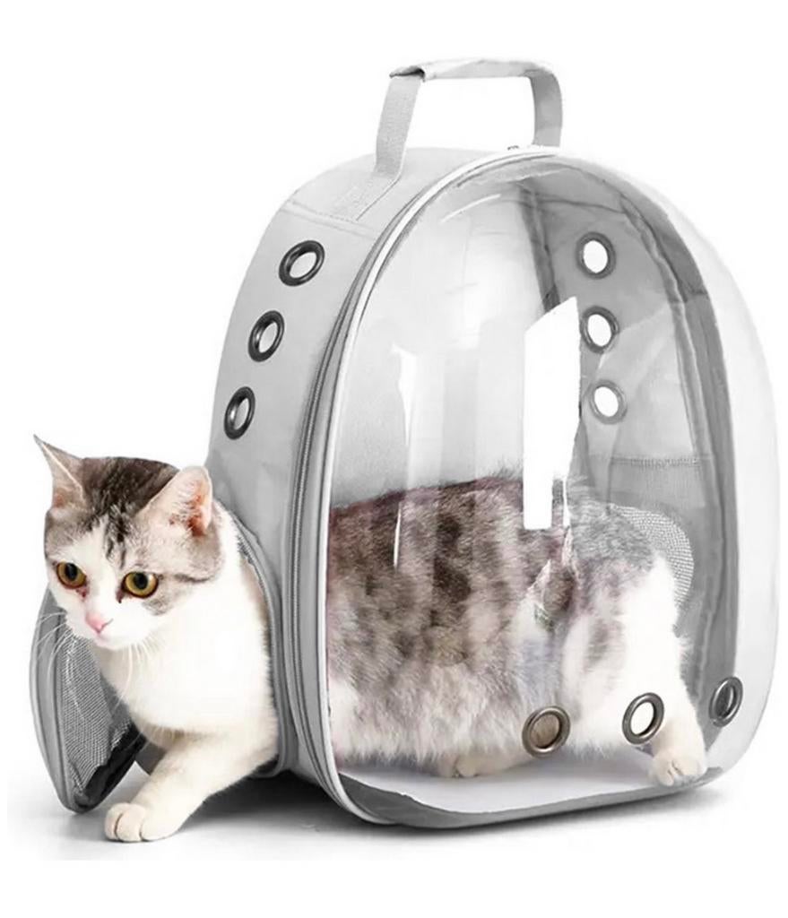 Rugzak huisdieren  Draagtas  katten ,kleine honden (nieuw), Ophalen of Verzenden, Nieuw
