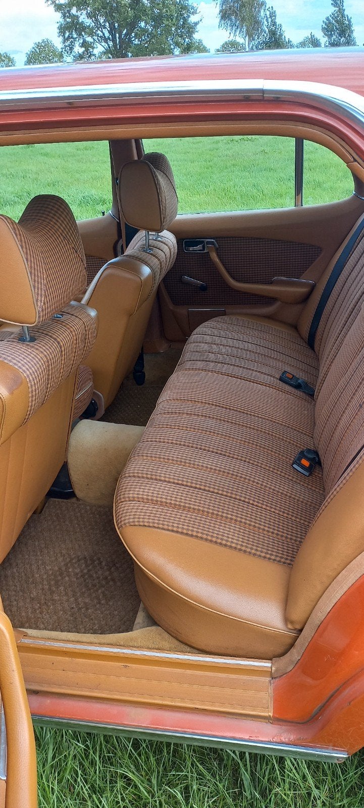 Mercedes-Benz Mercedes 1978, foto 9