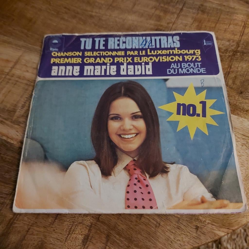 Anne marie david (Eurovisie Songfestival) tu te reconnaitras, Cd's en Dvd's, Ophalen of Verzenden, Zo goed als nieuw, Pop