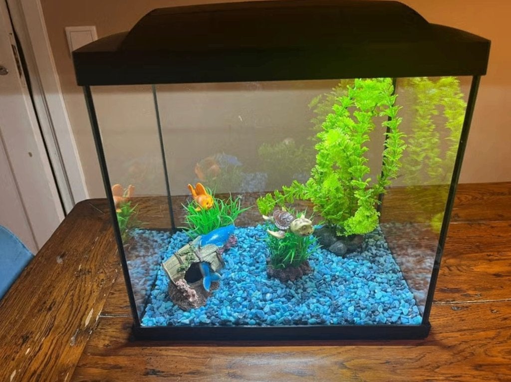 Aquarium compleet met assecoires, Dieren en Toebehoren, Vissen | Aquaria en Toebehoren, Ophalen, Zo goed als nieuw, Leeg aquarium
