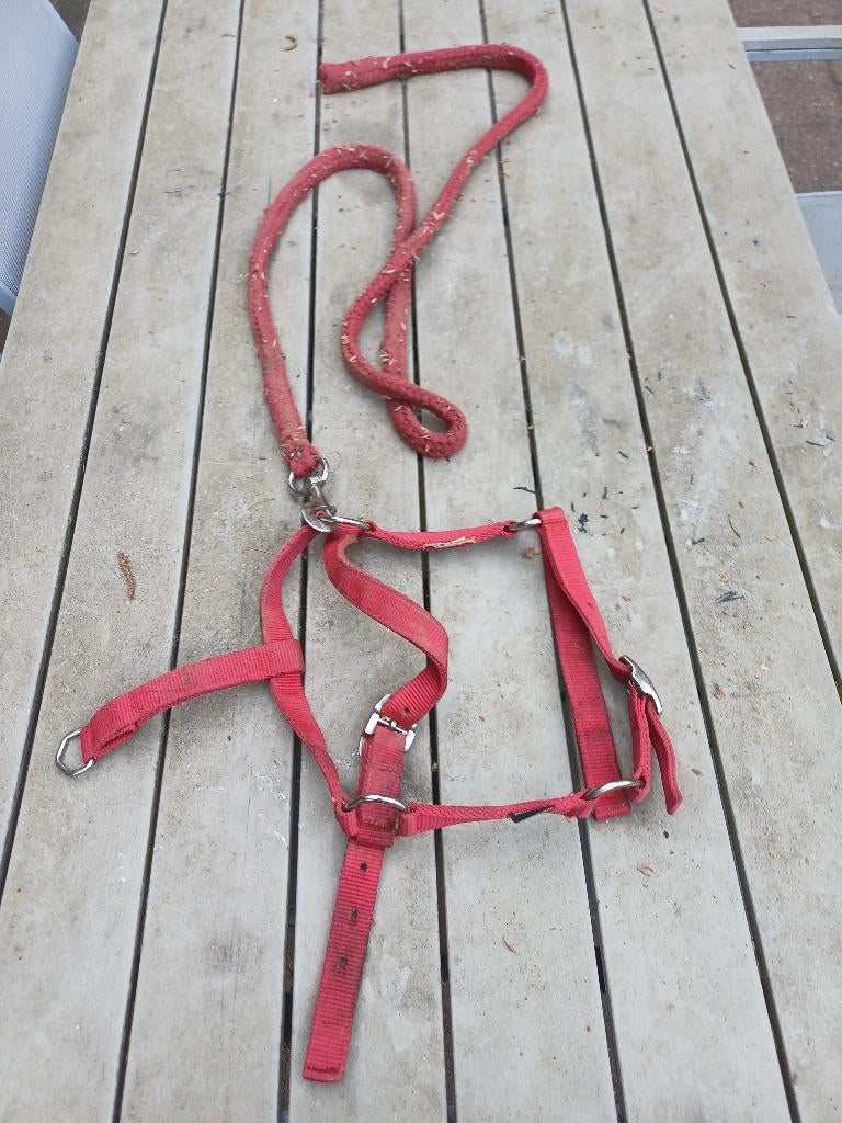 Halster pony, Dieren en Toebehoren, Ophalen of Verzenden, Gebruikt, Recreatie