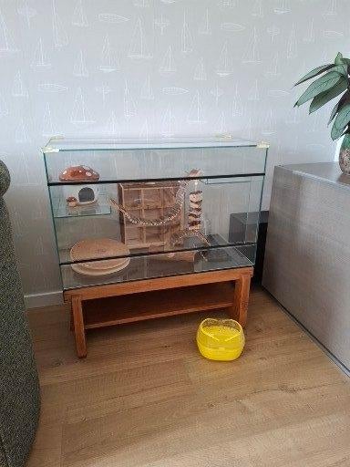 Glazen knaagdierenkooi met diverse toebehoren., Kooi, 75 tot 110 cm, Ophalen, Minder dan 60 cm