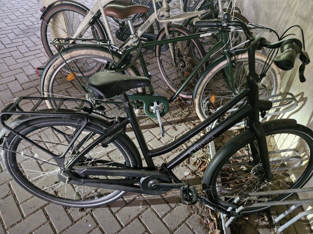 Cortina tide nd7 2024, 47 tot 50 cm, Versnellingen, Nieuw, Trommelrem