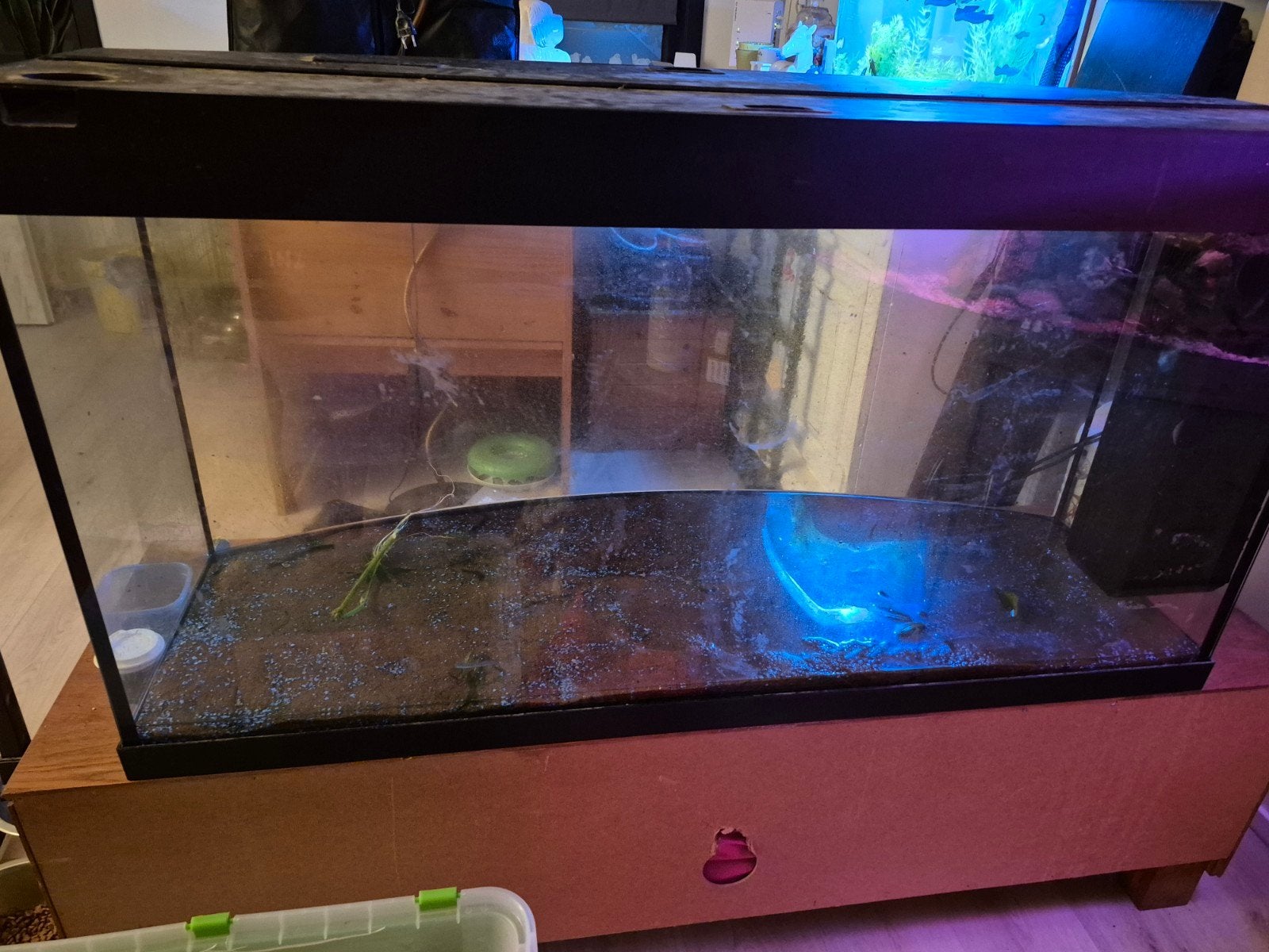 te koop juwel vision 260, Dieren en Toebehoren, Ophalen, Gebruikt, Gevuld zoetwateraquarium, Verwarming