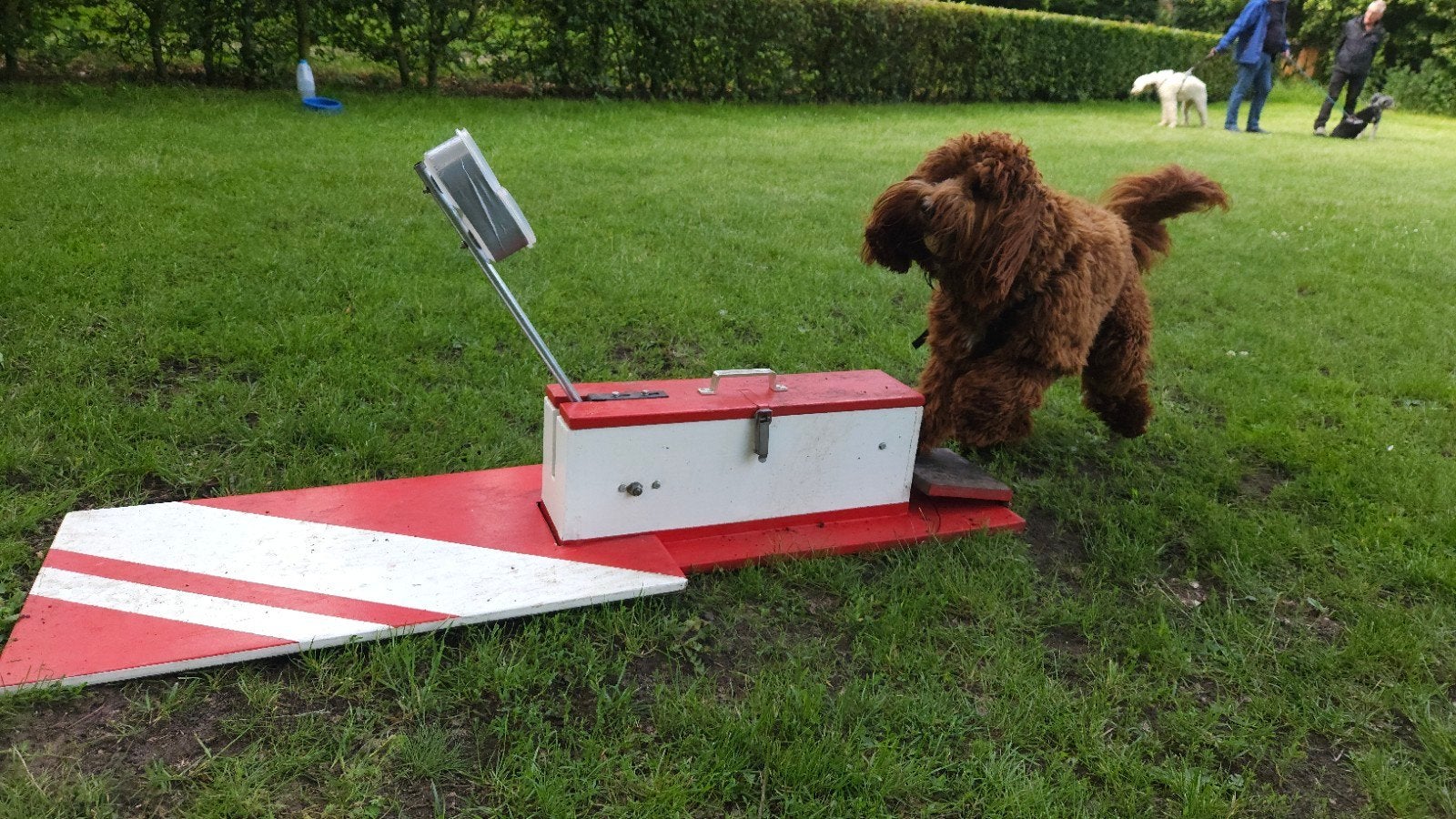 Dogaholic Flyball in Apeldoorn, Ophalen, Nieuw