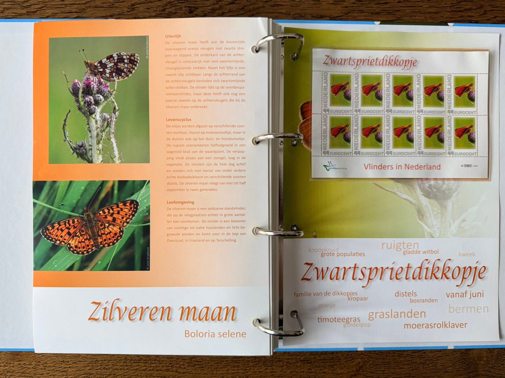 Complete verzameling Vlinders in NL – 62 postzegelvellen, Ophalen of Verzenden, Na 1940, Postfris