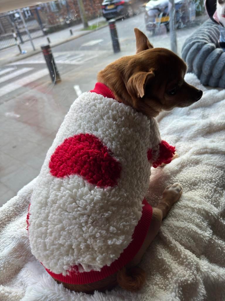 Hartjes Trui – Cozy Fit (M/L), Dieren en Toebehoren, Ophalen, Nieuw, Hondentrui