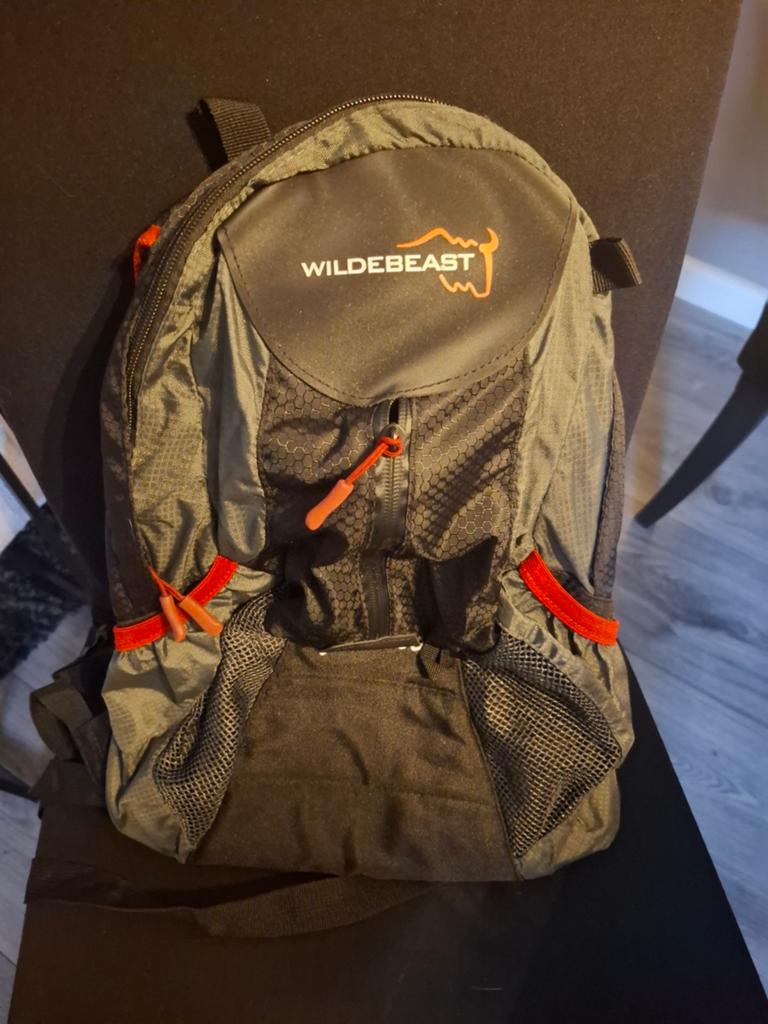 backpack tas, Sieraden, Tassen en Uiterlijk, Tassen | Rugtassen, Ophalen, Zo goed als nieuw, Overige merken