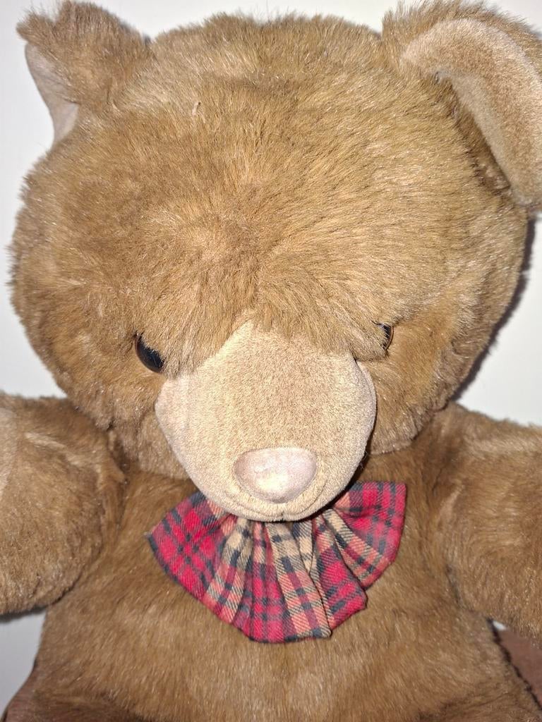 Teddy bear, Ophalen, Zo goed als nieuw, Stoffen beer, Overige merken