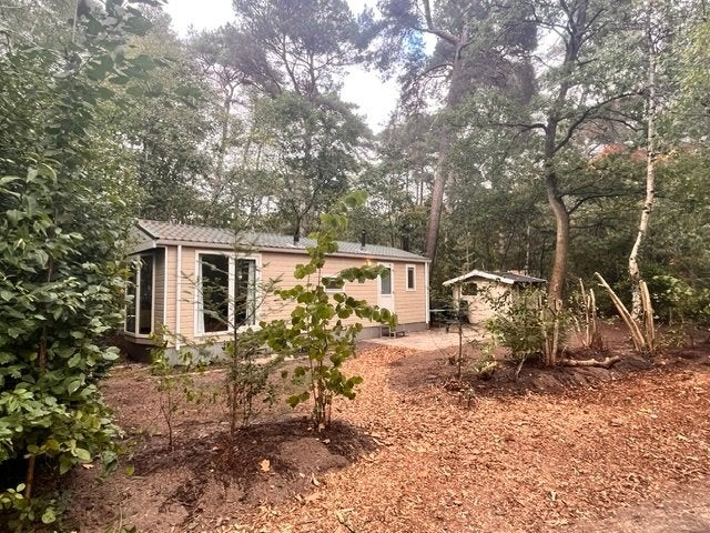 Chalet 25A Bospark Langeloërduinen, In bos, 2 slaapkamers, Huisdier toegestaan, Recreatiepark