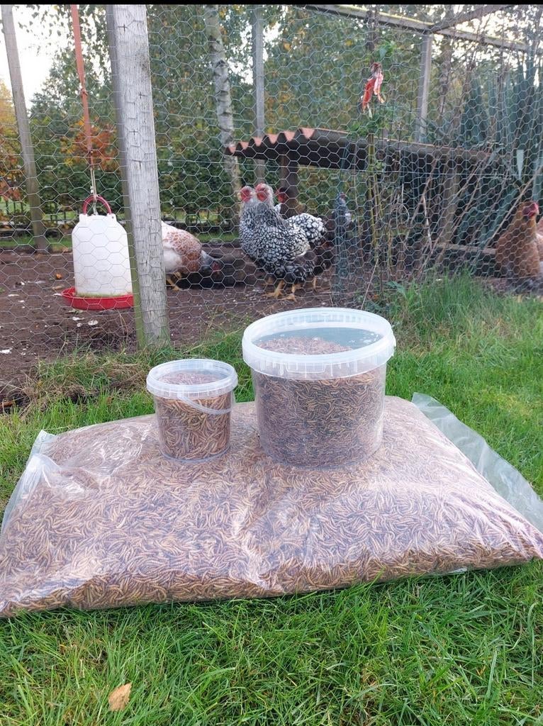 Gedroogde meelwormen, Dieren en Toebehoren, Dierenvoeding, Pluimvee, Ophalen of Verzenden