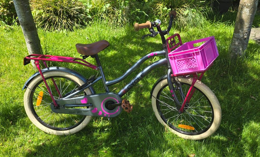 Kinderfiets 2Cycle met mandje en bagagedrager, Ophalen