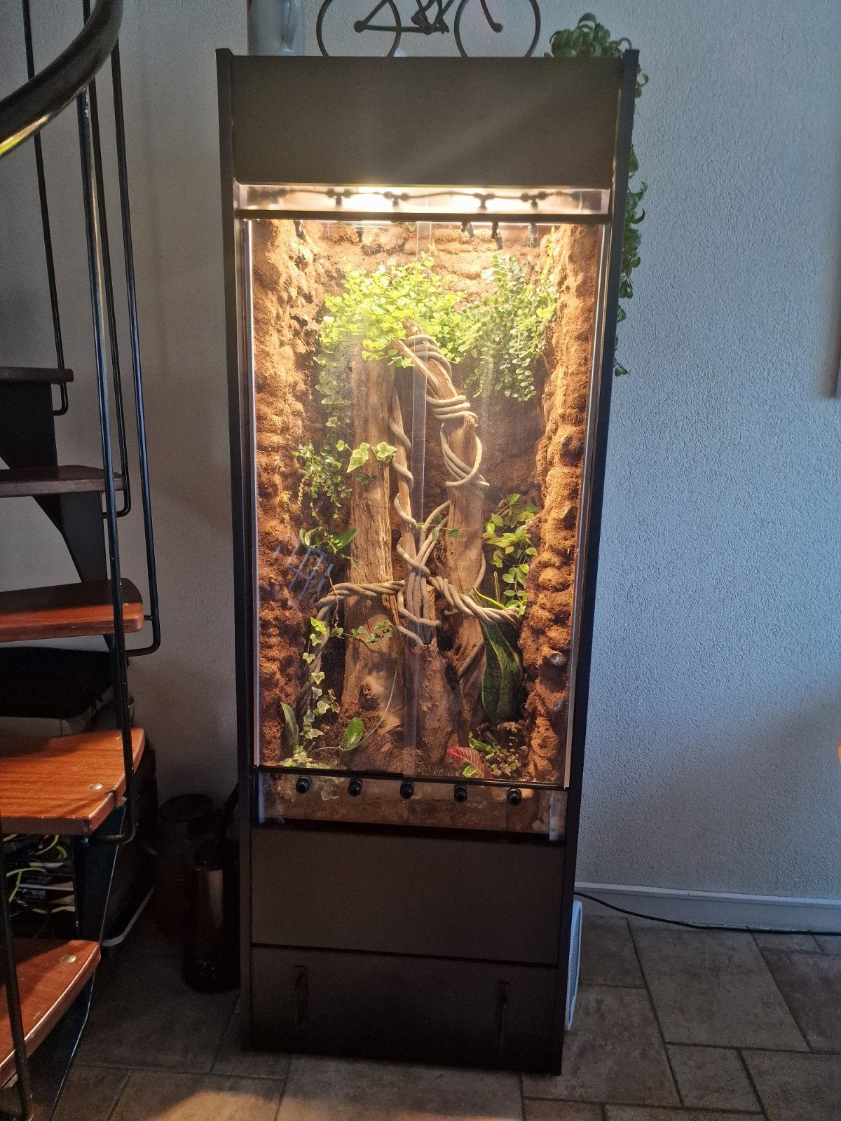 Uniek zelfbouw paludarium / vivarium – volledig geautomatise, Dieren en Toebehoren, Ophalen, Zo goed als nieuw, Terrarium of Paludarium