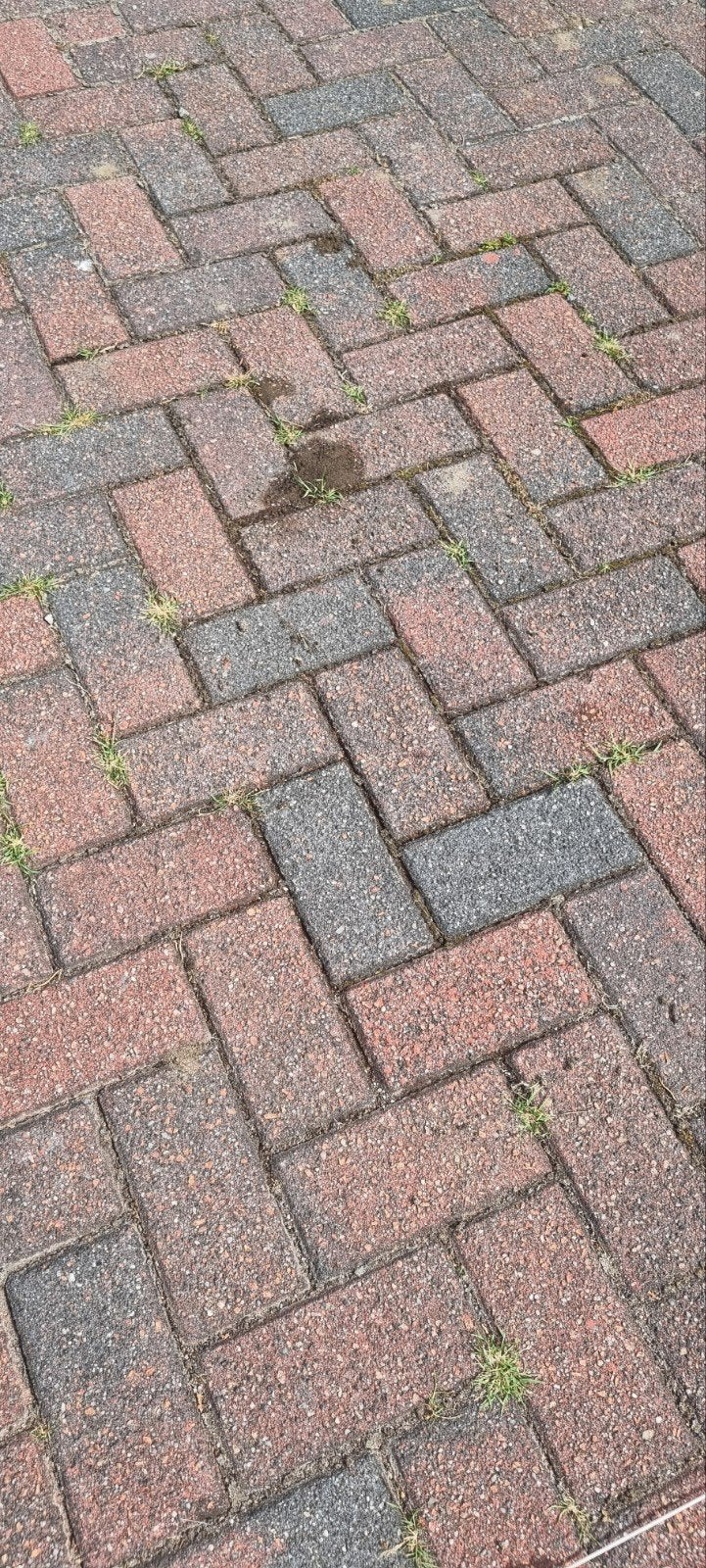 GEZOCHT : Gebruikte betonklinkers Rood-Zwart genuanceerd., Gebruikt, Klinkers, Ophalen of Verzenden, 10 m² of meer