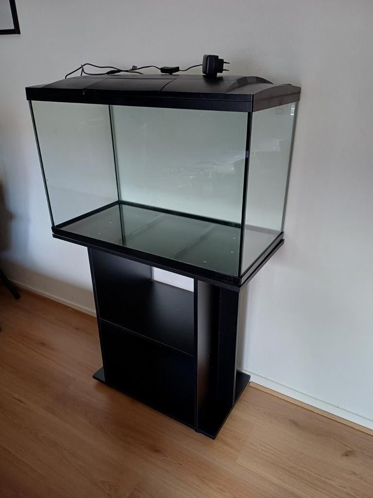 Mooi groot aquarium met kast., Vis