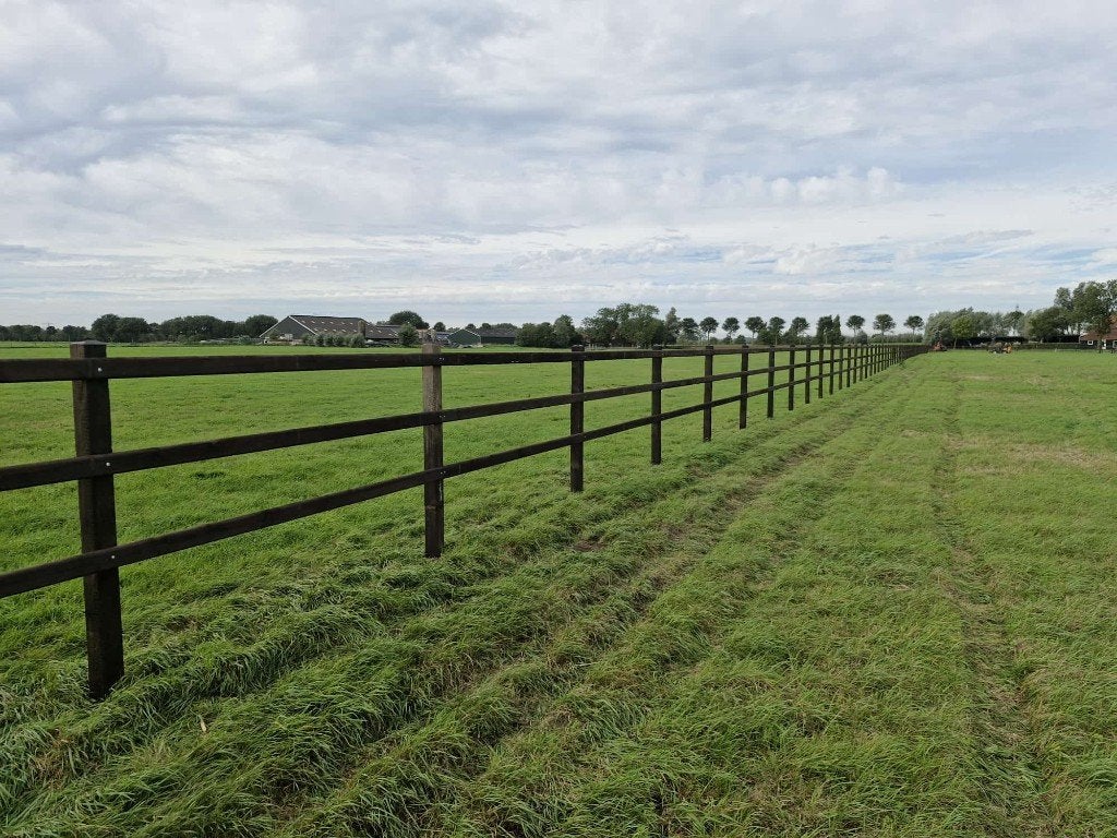 Omheining rijbak hout paddock weide, Dieren en Toebehoren, Weidegang, 4 paarden of pony's of meer
