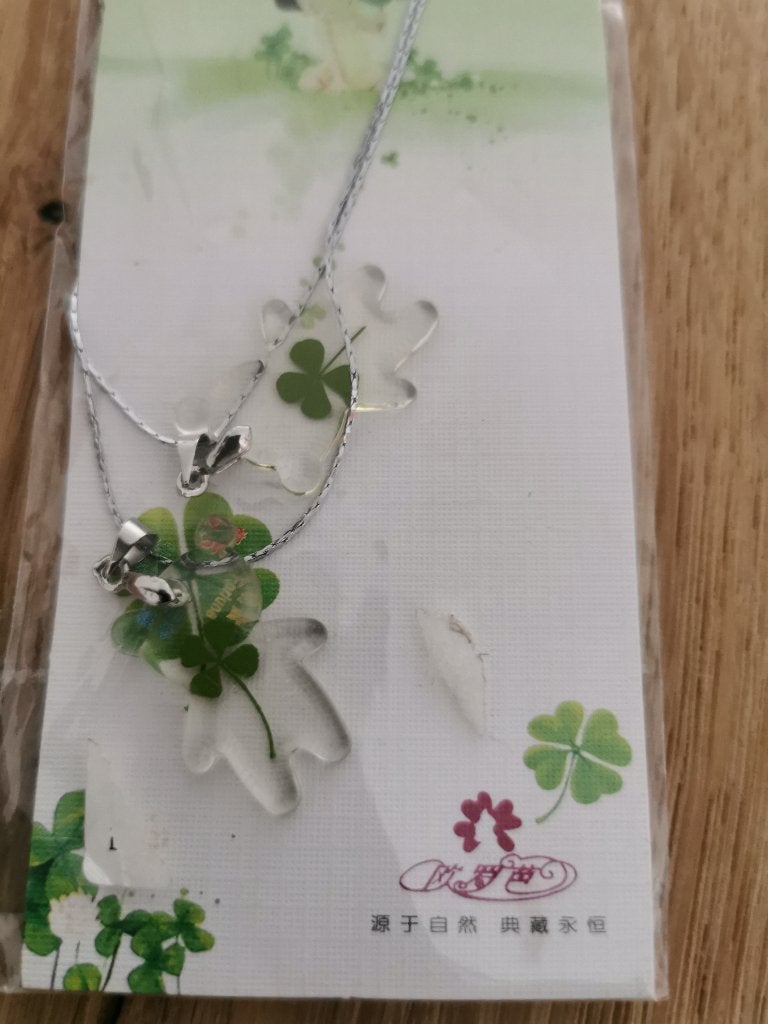 Vriendschap kettinkjes, Nieuw, Ophalen of Verzenden, Zilver, Overige materialen