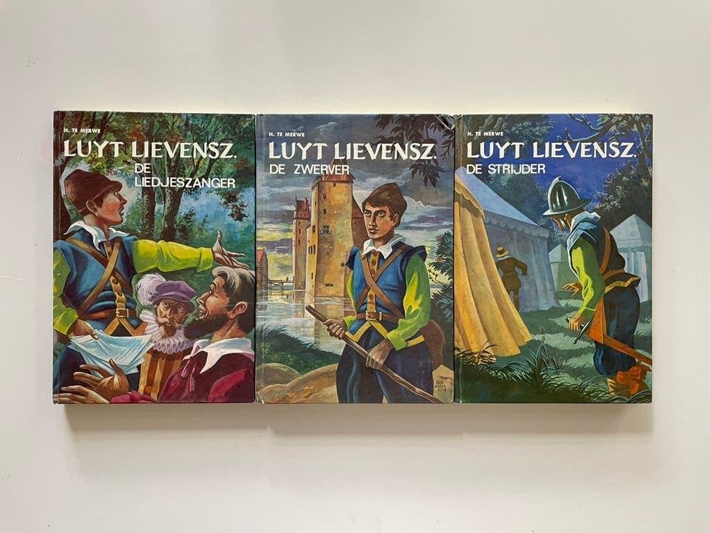 Luyt Lievensz. serie - H. te Merwe, Gelezen, H. te Merwe, Ophalen of Verzenden, Fictie