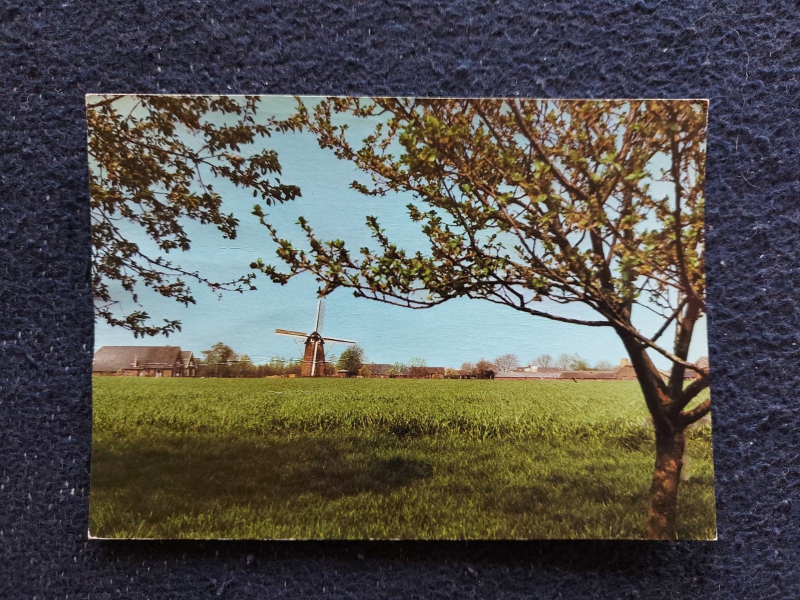 Braamt. Oude ansichtkaart met molen en landschap, Verzamelen, Ophalen of Verzenden, 1940 tot 1960, Gelopen