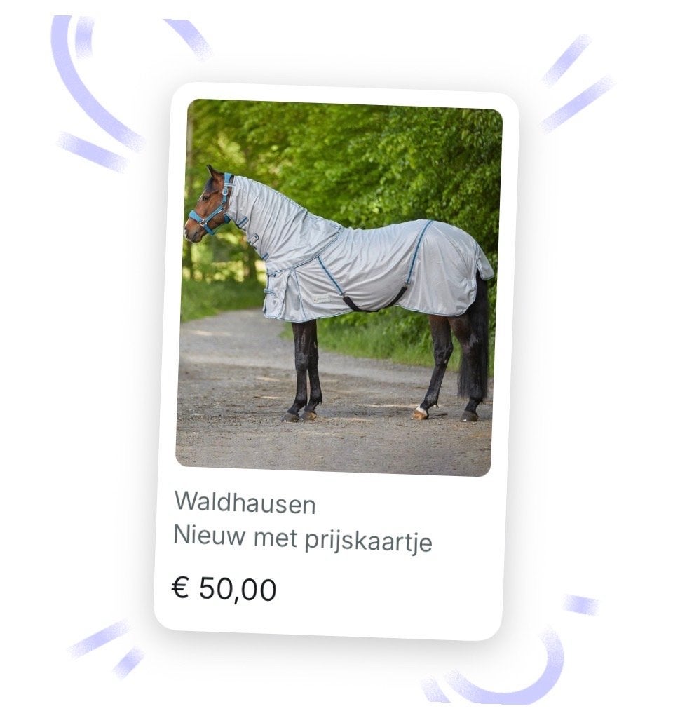 “Nieuwe” Waldhausen vliegendeken 1.45/1.65, Dieren en Toebehoren, Paarden en Pony's | Dekens en Dekjes, Full (L), Overige merken