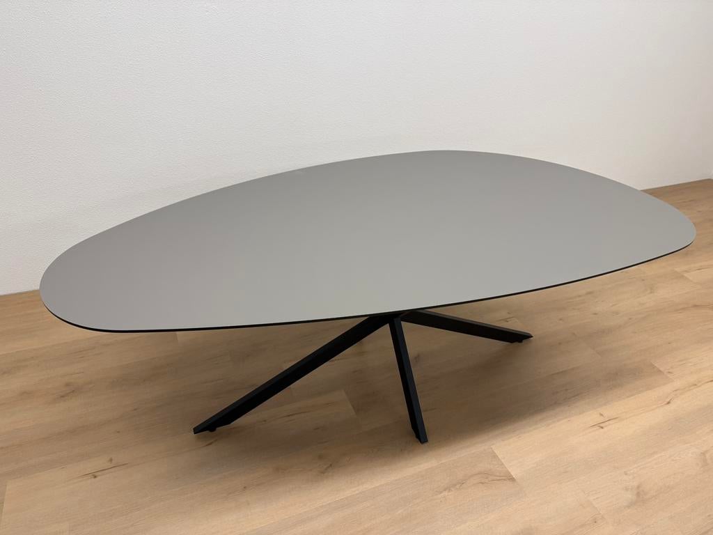 Organische eettafel HPL 220x100 - Direct Leverbaar, 100 tot 150 cm, 200 cm of meer, Ophalen of Verzenden, Zo goed als nieuw