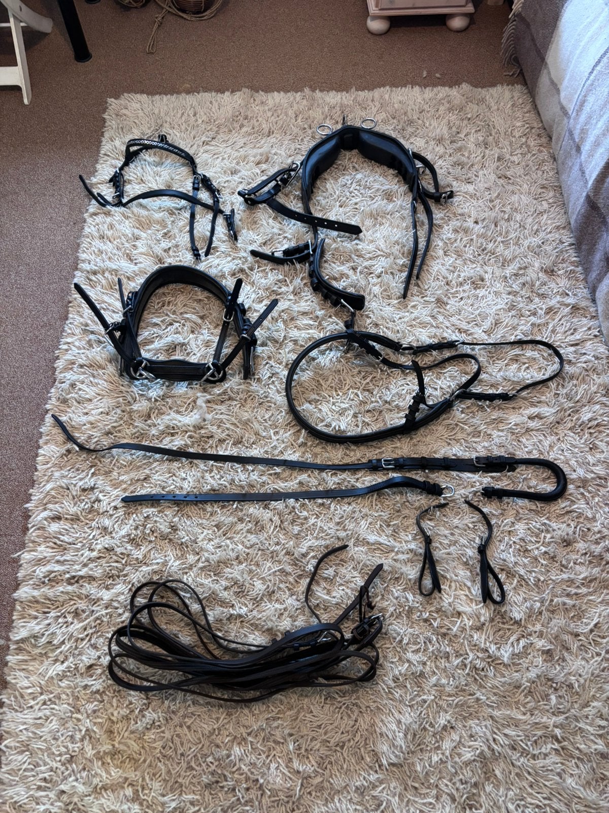 Mentuig mini shet van Ideal, Dieren en Toebehoren, Ophalen, Zo goed als nieuw, Mentuig, Mini