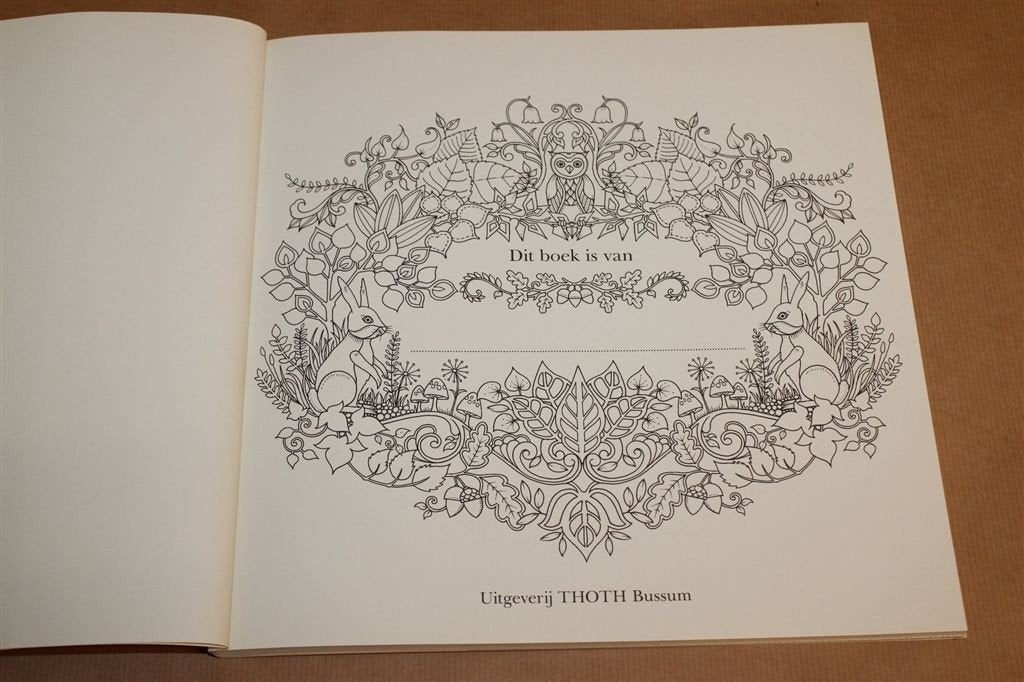 Het Betoverde Woud — Basford, Kleur, Zoekboek, Niet Gekleurd, Boeken, Ophalen of Verzenden, Gelezen, Overige onderwerpen