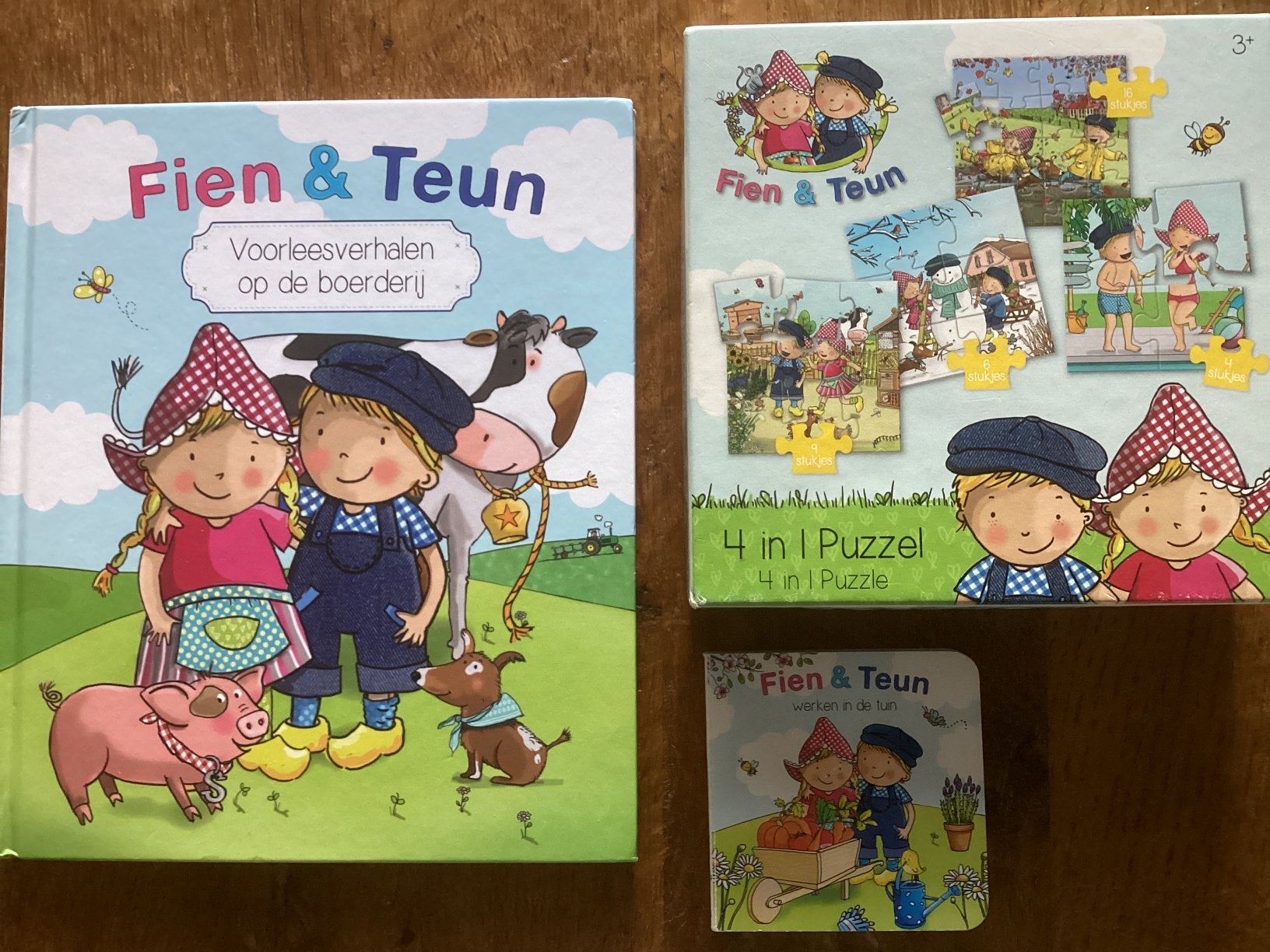 Fien & Teun. Boeken en puzzels, Ophalen of Verzenden, Gebruikt