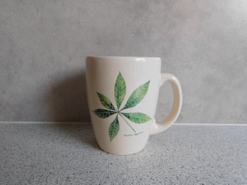 Mok 10x8 cm. Pachira Aquatica JET by ter Steege, Ophalen of Verzenden, Zo goed als nieuw, Overige stijlen, Kop(pen) en/of Schotel(s)