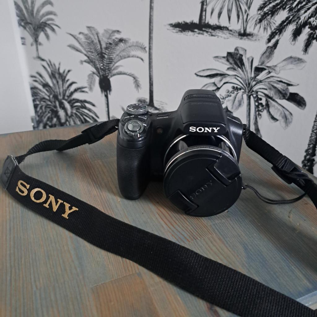 Sony cybershot DSC-HX1, Ophalen of Verzenden, Gebruikt, 8 keer of meer