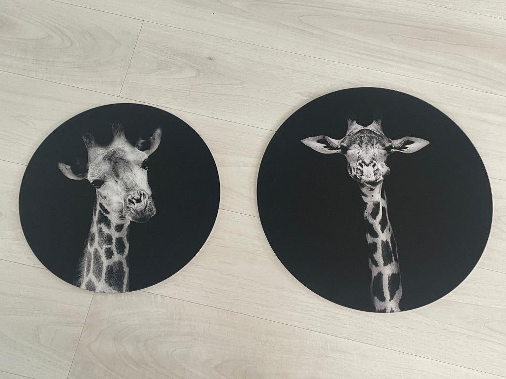 2 glazen wandcirkel schilderijen Giraf zwart-wit, Ophalen, 50 tot 75 cm, 50 tot 75 cm, Print