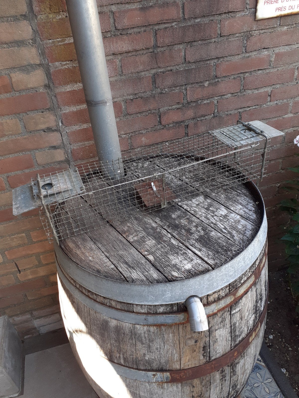 vangkooi nr 2, Ophalen of Verzenden, Gebruikt, Ongediertebestrijding