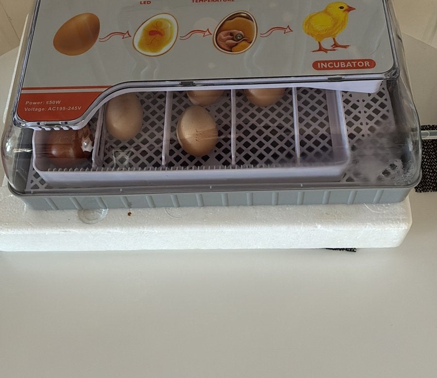 Automatische broedmachine met keer systeem, Ophalen of Verzenden, Zo goed als nieuw, Broedmachine