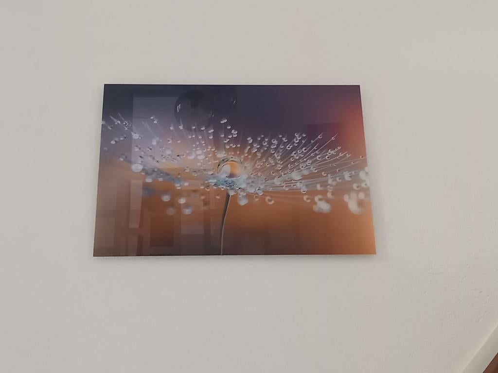 glasschilderij, Ophalen, Minder dan 50 cm, Nieuw, Schilderij