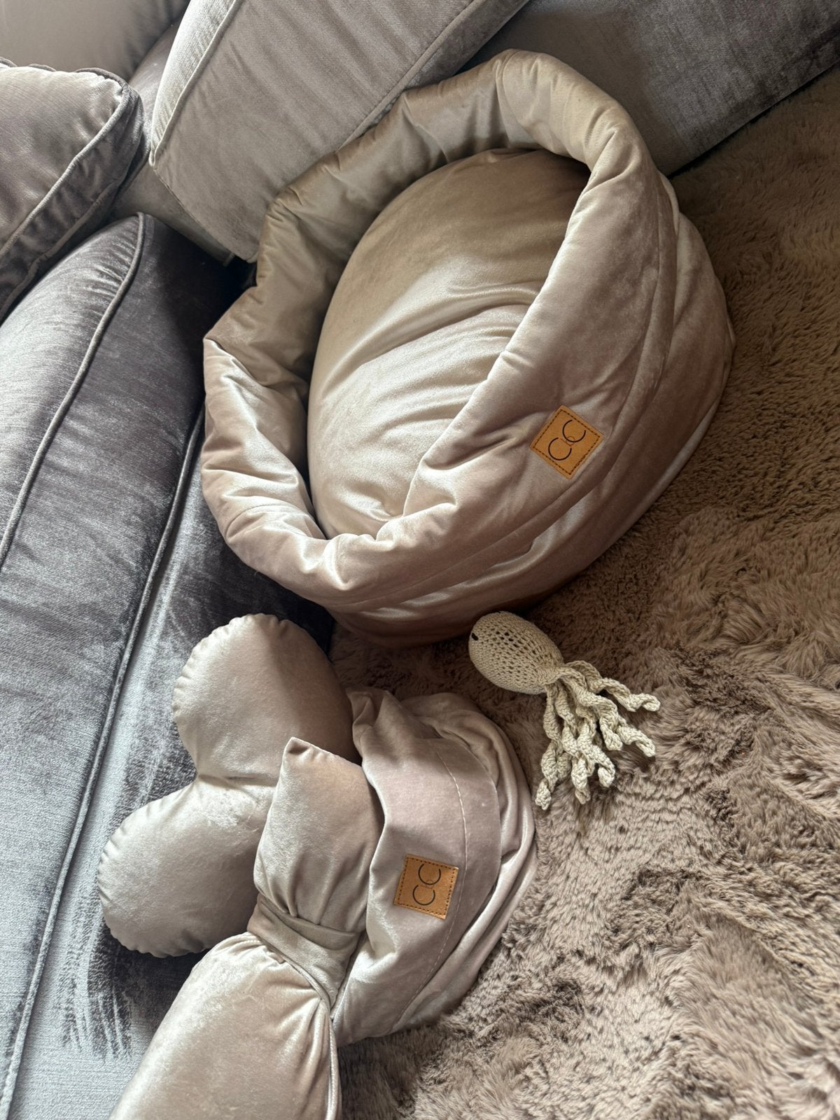 Honden mand voor kleine hondjes, Ophalen of Verzenden, Nieuw