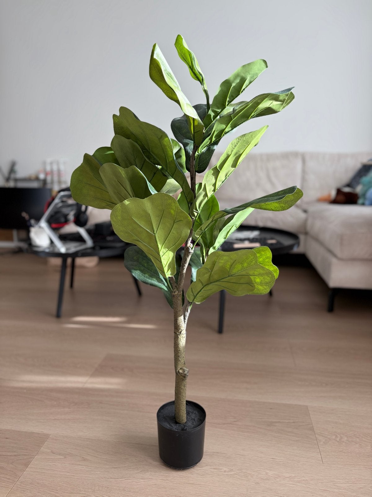 Kunstplant Ficus Lyrata - Realistische Vioolbladplant, Binnen, Groen, Kunstplant, Ophalen of Verzenden