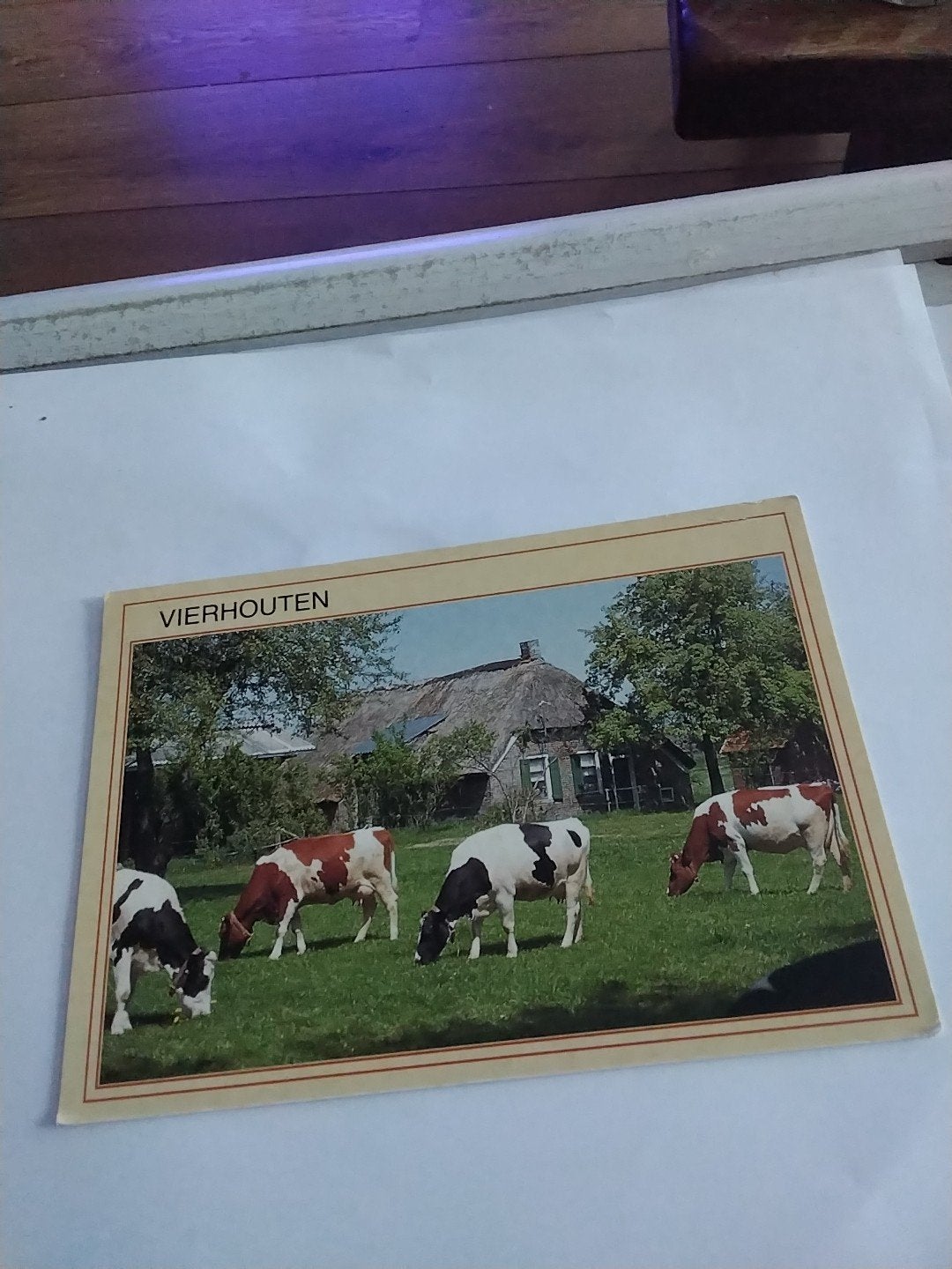 Ansichtkaart Vierhouten met koeien en boerderij, Ophalen of Verzenden