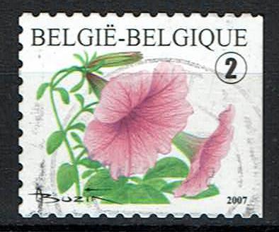 Petunia, rechts ongetand (OBP 3722a ), Ophalen of Verzenden, Gestempeld