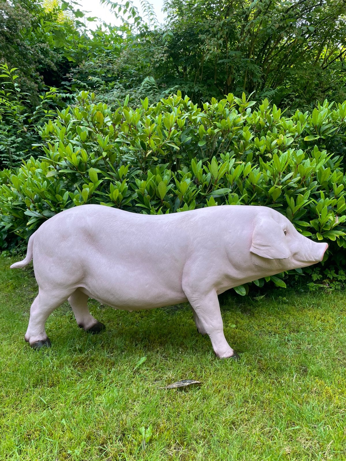 Varken beeld tuin boerderij boer stal big, Tuin en Terras, Ophalen, Nieuw, Kunststof, Dierenbeeld
