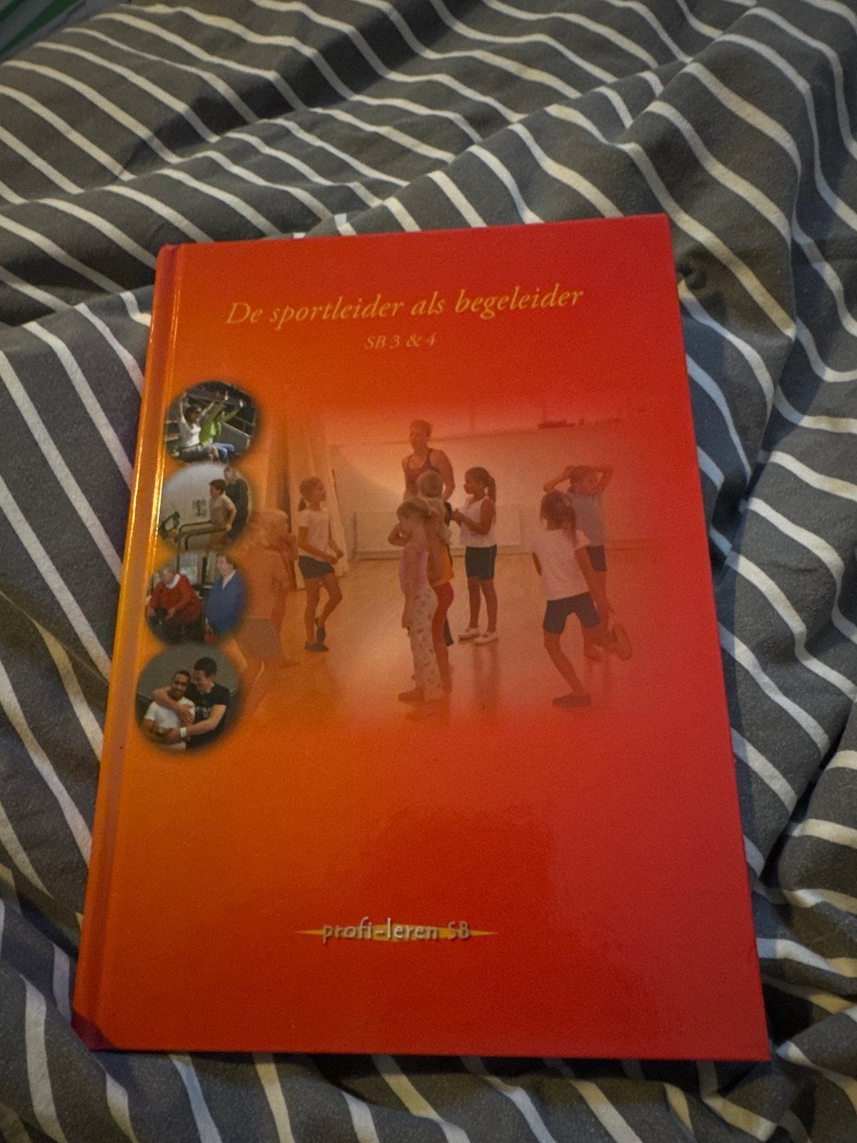 De sportleider als begeleider SB3&4 - Profieleren, Ophalen of Verzenden, Zo goed als nieuw, MBO