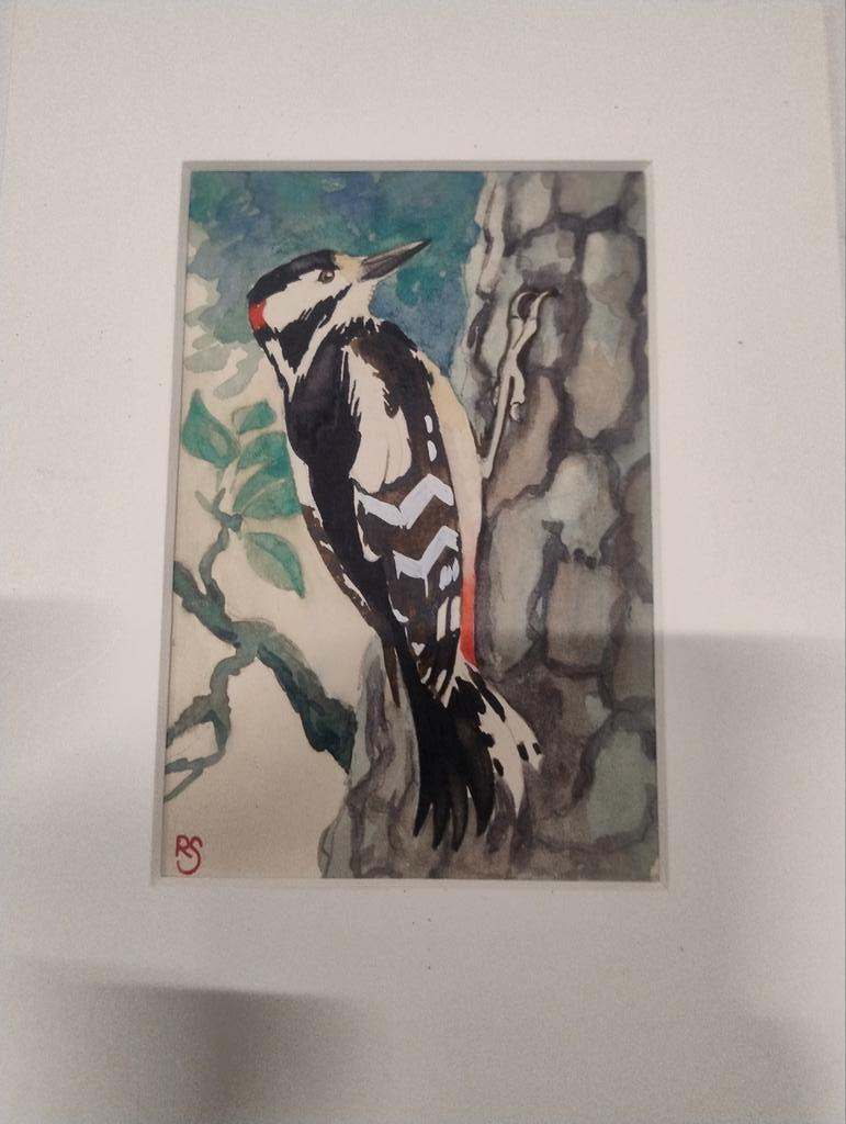 Aquarel Grote Bonte Specht door Rein Stuurman (1900-1984), Antiek en Kunst, Ophalen of Verzenden