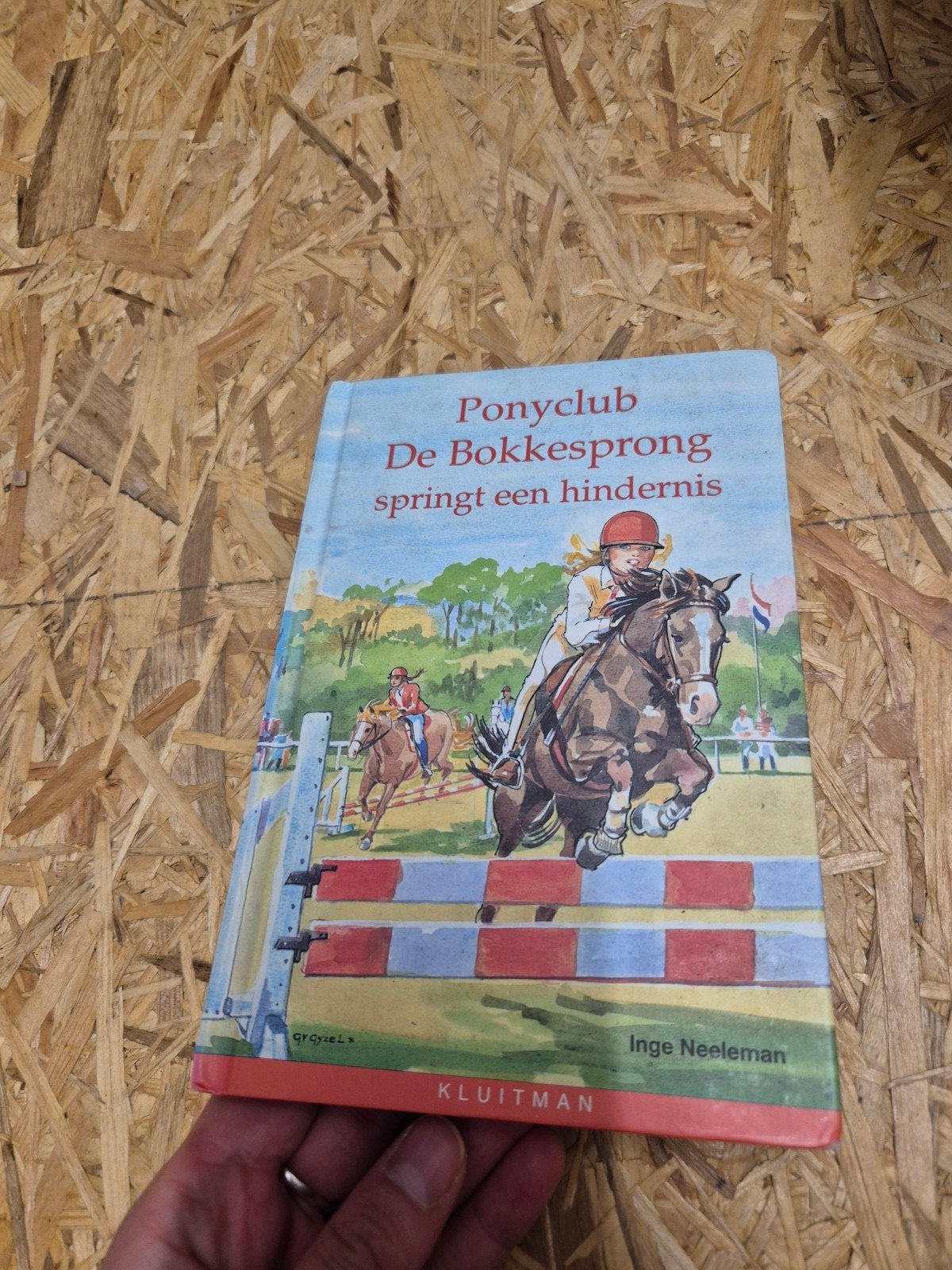 Ponyclub De Bokkesprong boek, Ophalen of Verzenden, Gelezen, Inge Neeleman, Fictie algemeen