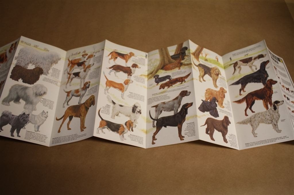 Honden — 94 Rassen in Kleur — Uitklapposter 1979, Ophalen of Verzenden, Gelezen, Honden