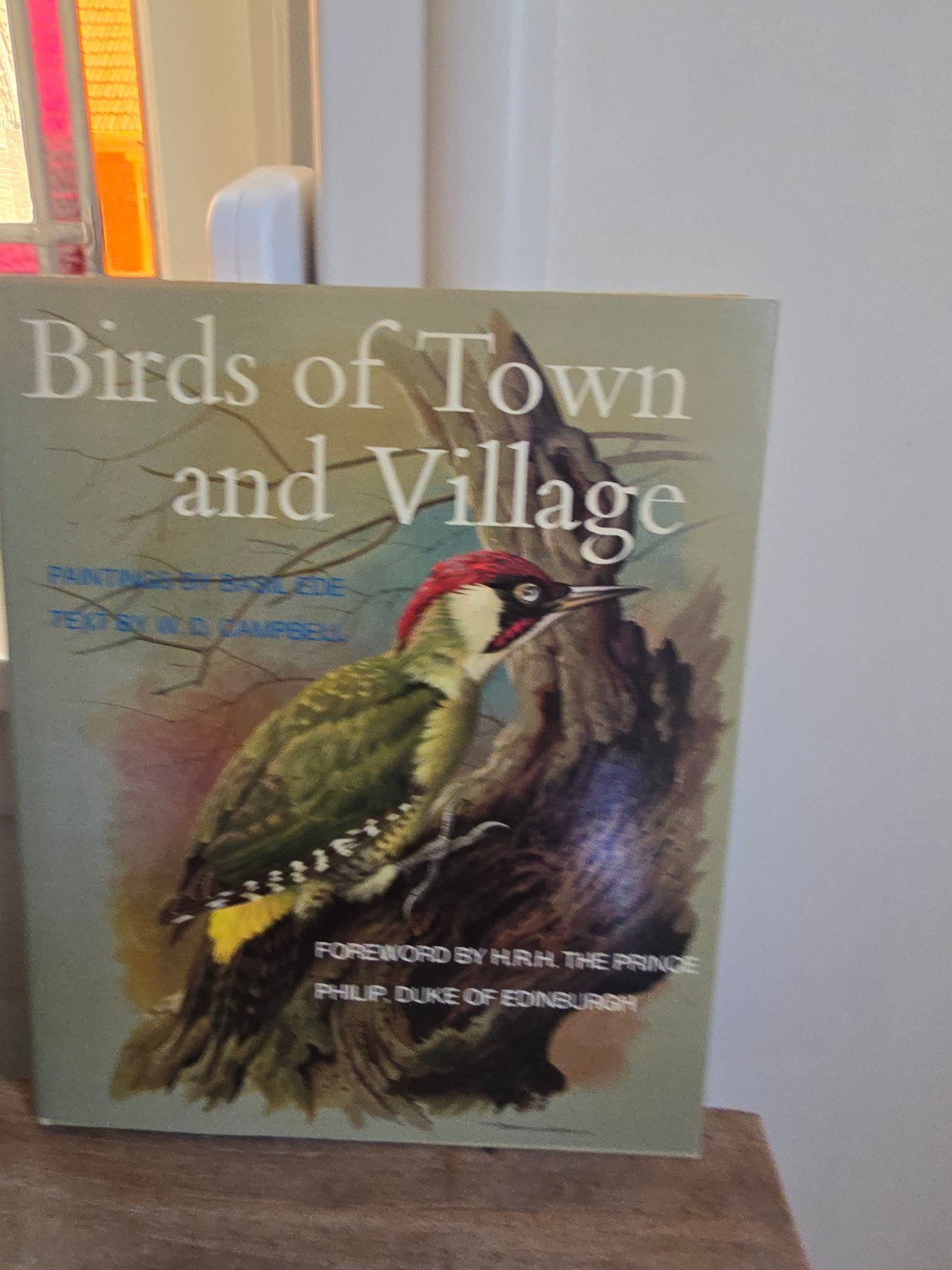 Schitterend oud vogelboek: Birds of Town and Village, Boeken, Ophalen of Verzenden
