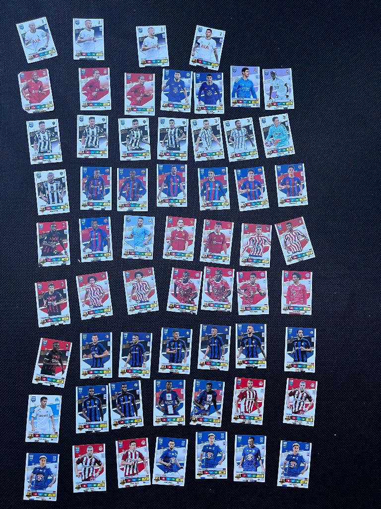 Veel verschillende panini voetbalkaartjes, Ophalen of Verzenden, Zo goed als nieuw, Meerdere stickers